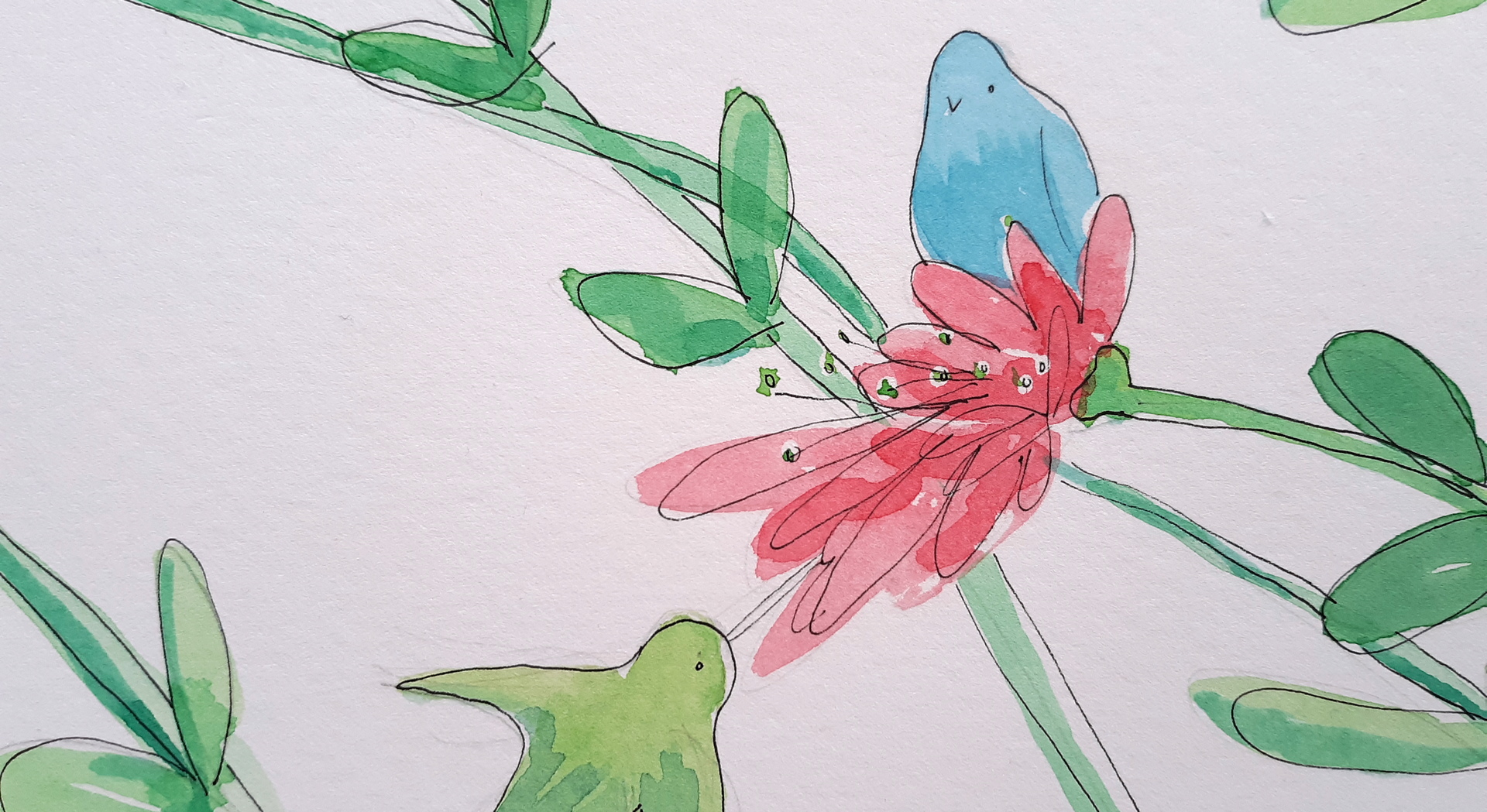 painting of a hummingbird and flower