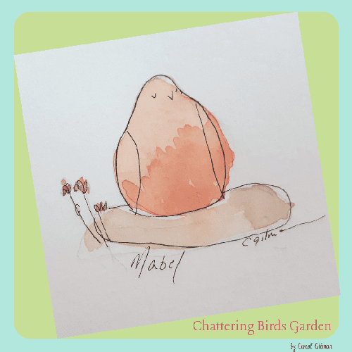 poem about a bird orange bird cute bird painting, story about an imaginary garden