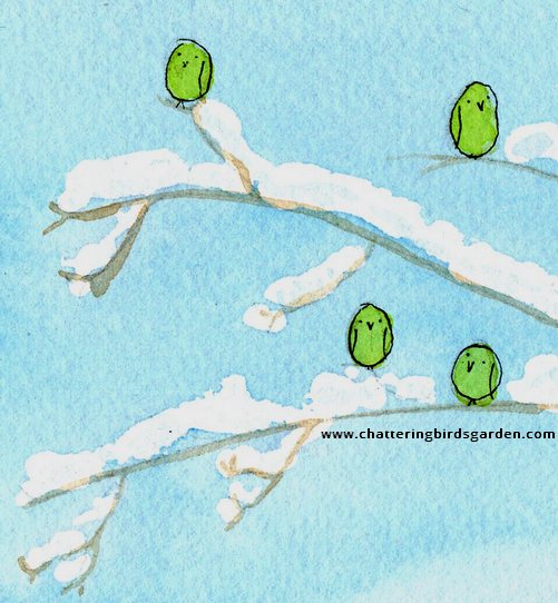 first day of winter solstice green birds sitting in a tree snow covered branches